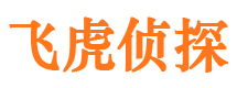 仓山市侦探调查公司